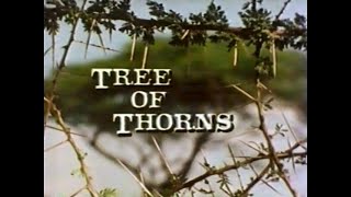 Acacia Tree of Thorns 1983 [upl. by Yaeger912]