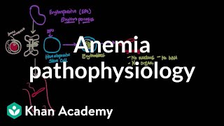 Anemia pathophysiology  Hematologic System Diseases  NCLEXRN  Khan Academy [upl. by Ogren441]