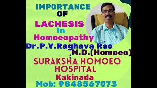 IMPORTANCE OF LACHESIS IN HOMOEOPATHY [upl. by Anila68]