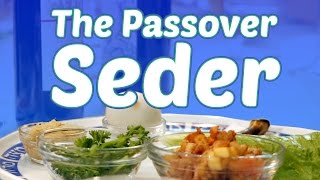 The Passover Seder What to Expect [upl. by Nnylharas]