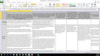 How to Create a Literature Matrix Excel [upl. by Anneg]