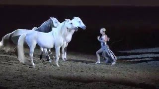 Liberty with 3 horses  Sylvia Zerbini  Night of the Horse 2016  Del Mar National Horse Show [upl. by Nonnel]