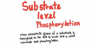 Glycolysis substrate level phosphorylation [upl. by Josepha933]