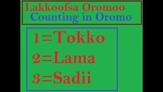 Counting in Oromo Language [upl. by Birck]