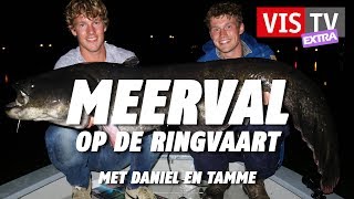 VIS TV Extra 47  Meerval [upl. by Anicul847]