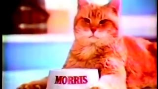 9Lives Cat Food Commercial Morris The Cat 1977 [upl. by Troy]