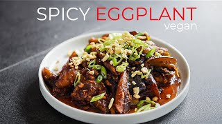 EASY Spicy Braised Eggplant Recipe [upl. by Icak]