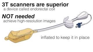 All About Imaging [upl. by Anielram]