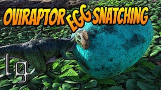 ARK Survival Evolved  How to Snatch Eggs With Oviraptor [upl. by Wyck]