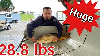 Catching Huge carp at Creekside lake [upl. by Aecila]