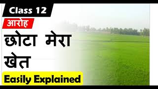 छोटा मेरा खेत l Chhota Mera khet Class 12 Hindi Core I Aroh I Vyakhya l summary umshankar joshi [upl. by Anah232]