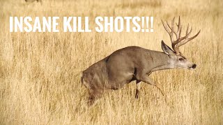 TOP 44 BEST HUNTING KILL SHOTS BOW AND RIFLE [upl. by Porter]