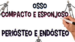 ✅ TECIDO ÓSSEO COMPACTO E ESPONJOSO  PERIÓSTEO E ENDÓSTEO  DIÁFISE E EPÍFISE [upl. by Sueaddaht]