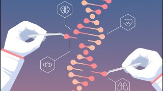 Gene Knockout using CRISPR [upl. by Divadleahcim]