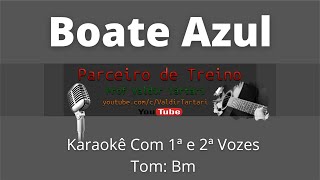 Boate Azul Karaokê Com 1ª e 2ª Vozes [upl. by Alesi851]