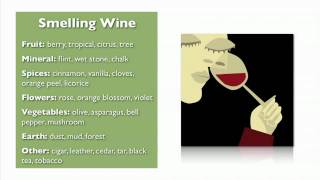 Wine Basics from My Wine Smarts [upl. by Barbey]