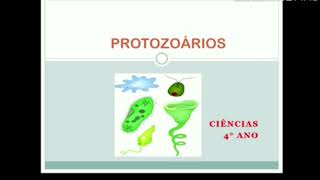 Ciências  Protozoários  4° Ano [upl. by Haela]