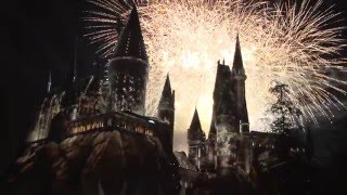 The Wizarding World of Harry Potter Premiere [upl. by Asher]