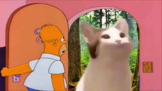 Pop Cat Meme Compilation🙀🥺 [upl. by Gesner]