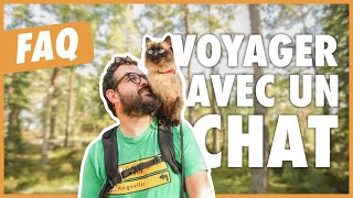 Astuces pour donner un comprimé à votre chat [upl. by Theodora]