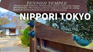 4K Tennoji Temple  NIPPORI  Tokyo Walking Tour [upl. by Azrim]