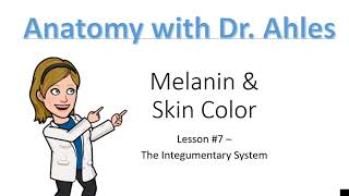 Lesson 7  Melanin amp Skin Color [upl. by Halpern920]