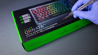 Razer Ornata V2 Keyboard Unboxing  ASMR [upl. by Eulalie825]