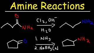 Amine Synthesis Reactions [upl. by Battiste]