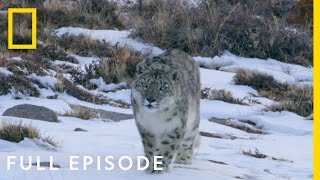 Mountains Full Episode  Hostile Planet [upl. by Wills23]