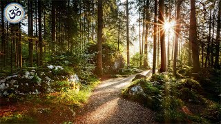 Relaxing Music with Nature Sounds Forest Music Sleep Music Meditation Music [upl. by Howlyn941]