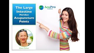 Introduction to Acupuncture part 3 [upl. by Gerdeen903]