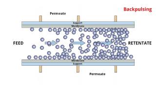 POREX® TMF  Cross flow filtration process [upl. by Anolahs]