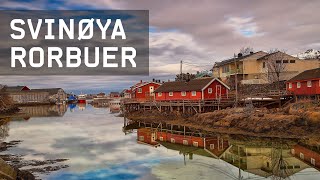 Svinøya Rorbuer  Your base for great adventures in Lofoten [upl. by Tice]