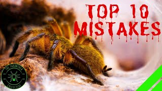 TOP 10 Mistakes Keeping Tarantulas amp Spiders  DONT DO THIS [upl. by Lecram911]