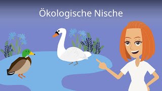 Ökologische Nische einfach erklärt [upl. by Kermie885]