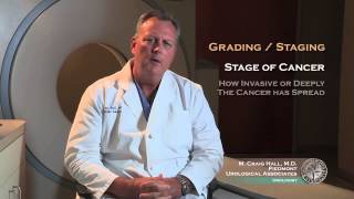 Prostate Cancer Grading and Risk Assessment [upl. by Saxet]