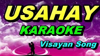 USAHAY KARAOKE  Visayan Song [upl. by Otrebmuh]