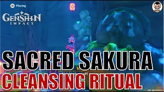 Complete Guide Cleansing Defilement  Sacred Sakura Cleansing Ritual Part1  Genshin Impact [upl. by Jarin]