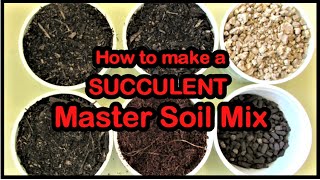 How to make a SUCCULENT MASTER SOIL MIX  Liz Kreate [upl. by Chere]