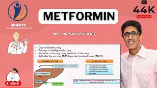 METFORMIN  Pharmacology [upl. by Clerc722]