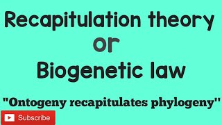 Recapitulation theory  Biogenetic law [upl. by Nylzor]