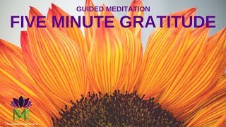 5 Minute Guided Meditation for Gratitude  Mindful Movement [upl. by Deonne]