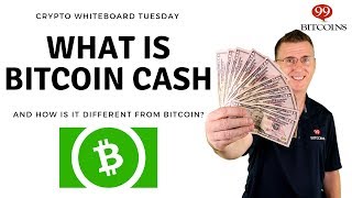 What is Bitcoin Cash  A Beginner’s Guide [upl. by Ng]