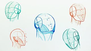 How to Easily Draw Heads  Understanding the Loomis Method [upl. by Johnstone]