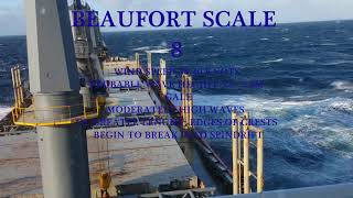 Beaufort Scale 0  12 Crossing Pacific Ocean [upl. by Gemperle]