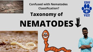 Phylum Nematoda Basics Veterinary Parasitology [upl. by Otrebide]