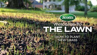 Welcome To The Lawn How to Plant New Grass [upl. by Frodi]