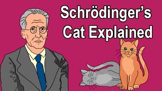 SCHRÖDINGERS CAT EXPLAINED [upl. by Hanikas293]