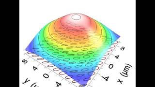 Rabi polarization oscillations [upl. by Zoldi392]