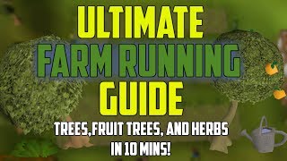 OSRS  Ultimate Farm Running Guide TreesFruit TreesHerbs IN 10 MINS [upl. by Yeorgi]